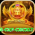 2022 world cup cricket Mega Slots