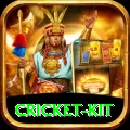 cricket kit Pakistan Champion v1.1.2