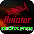 cricket pitch Earn Royal v5.3.4