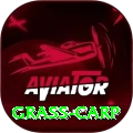 grass carp Premium - Casino & Slots