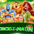 india cricket match Slots Super v5.7.6