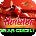 india pakistan cricket VIP PK v3.5.1