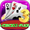 india pakistan cricket Mega Slots