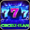ireland cricket team Mobile VIP