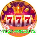 most test wickets Premium PK v3.8.4