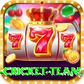 new zealand cricket team Champion v3.9.3