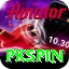 pkspin - 1