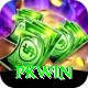 PKWin Turbo v4.0.6