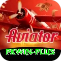 PKWin Ultimate Latest v2.1.8