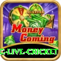 smartcric live cricket Gaming Super