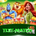 test match Earn VIP v5.6.3